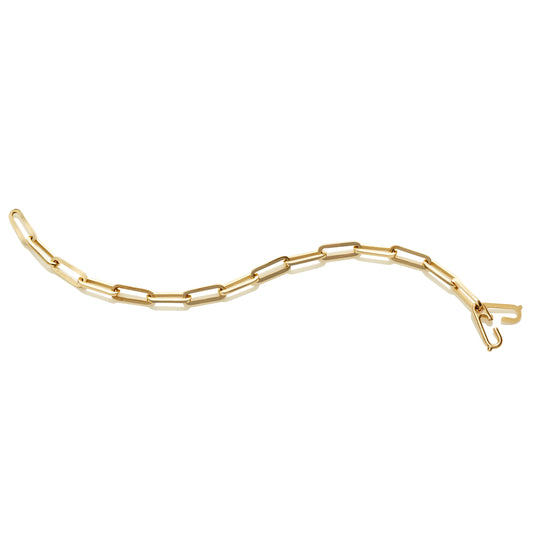 Charm Bracelet Links