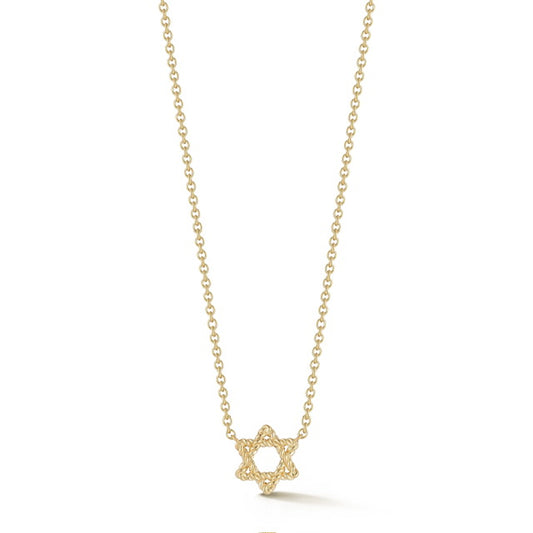 Star of David Necklace
