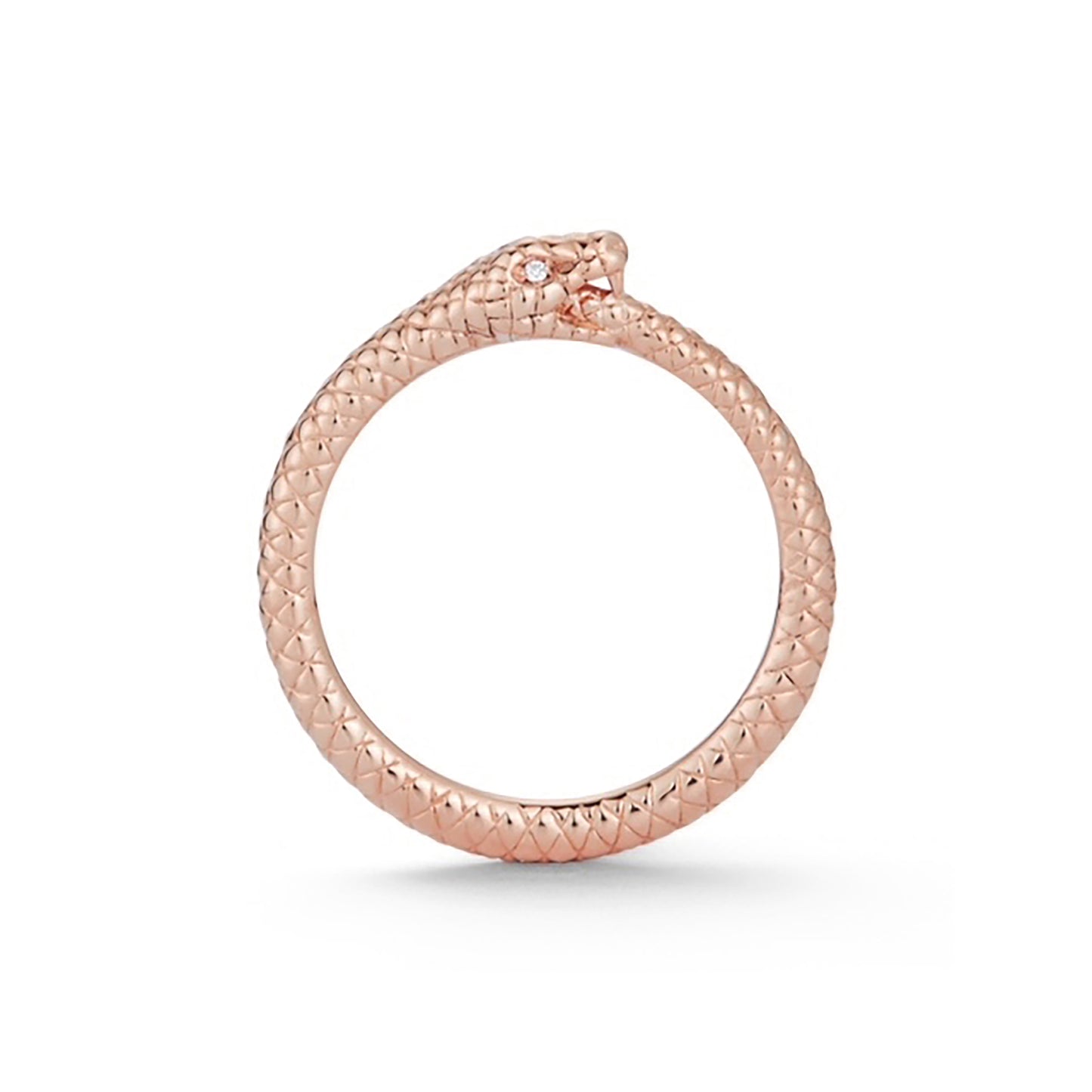 Orobouros Snake Ring