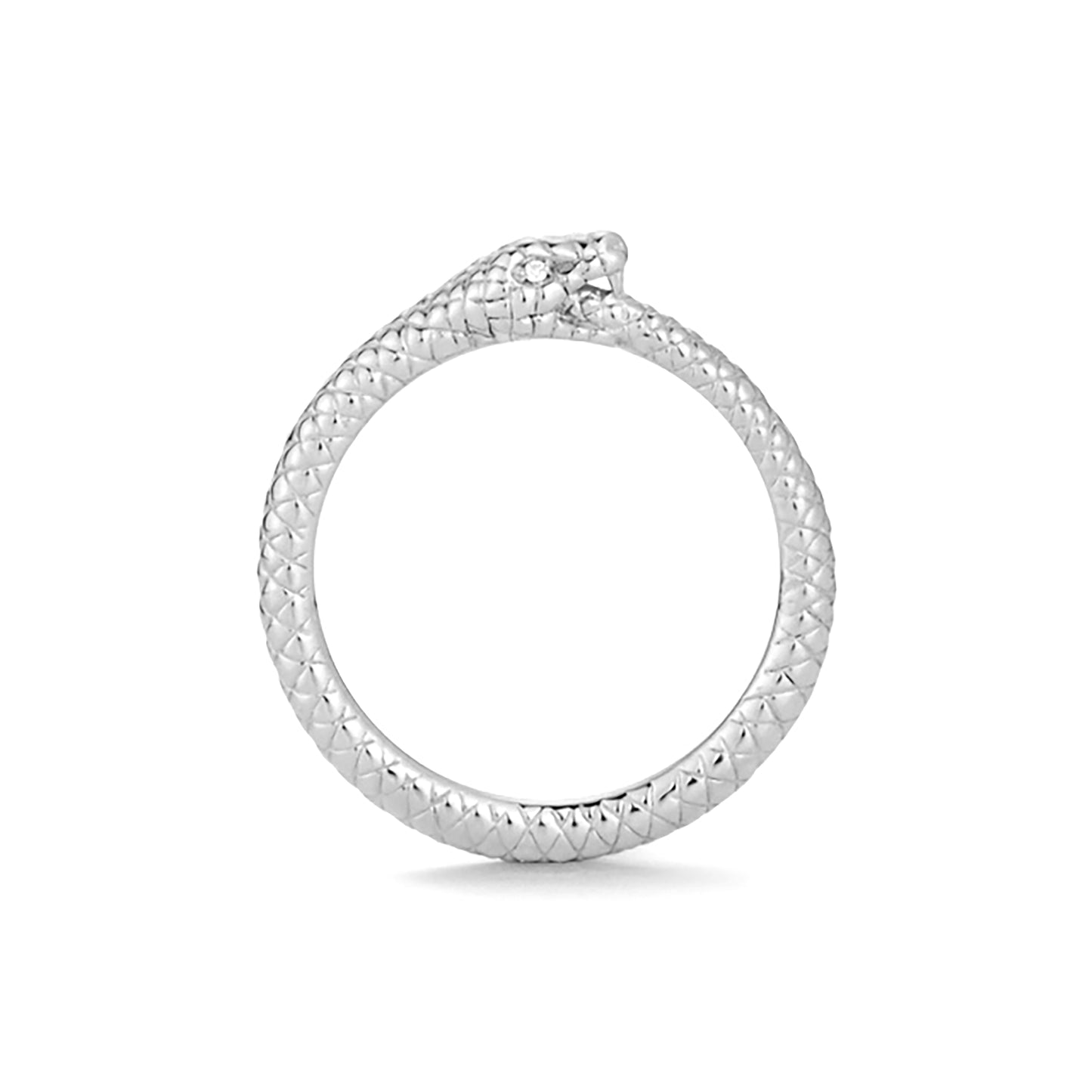 Orobouros Snake Ring