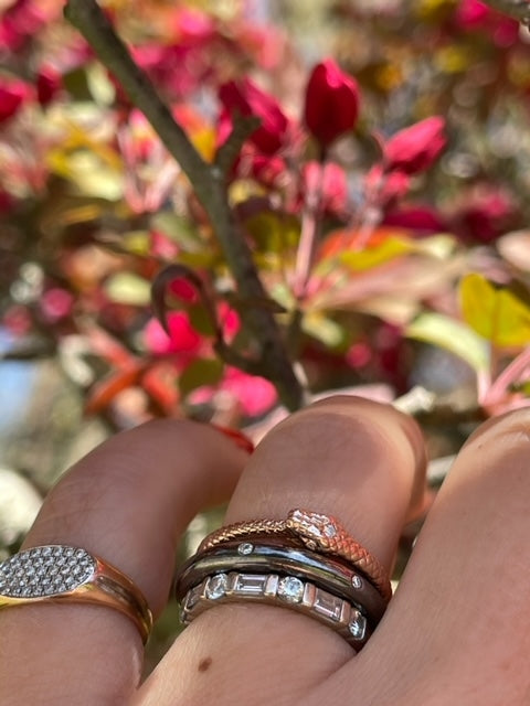 Orobouros Snake Ring
